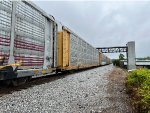 TTGX 710168